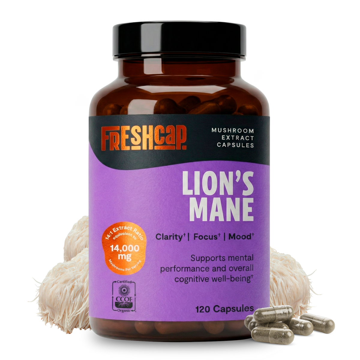 Mushroom Supplements