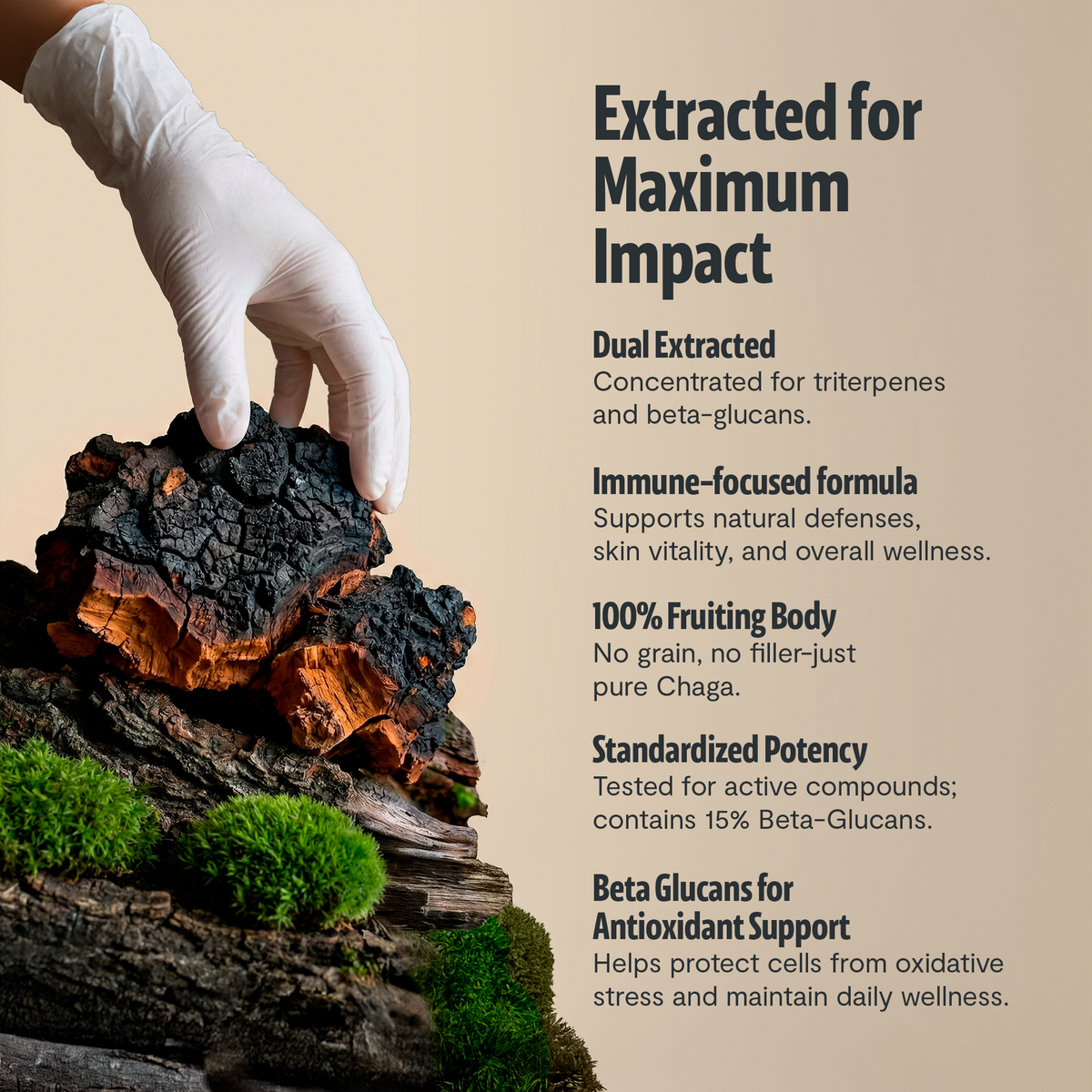 FreshCap Mushrooms Scentsium