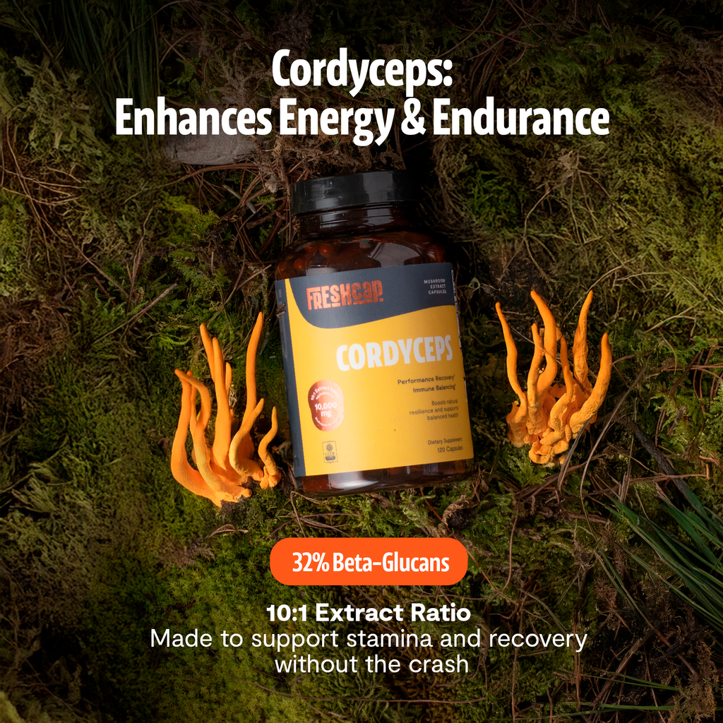 Organic Cordyceps Mushroom Supplement Capsules