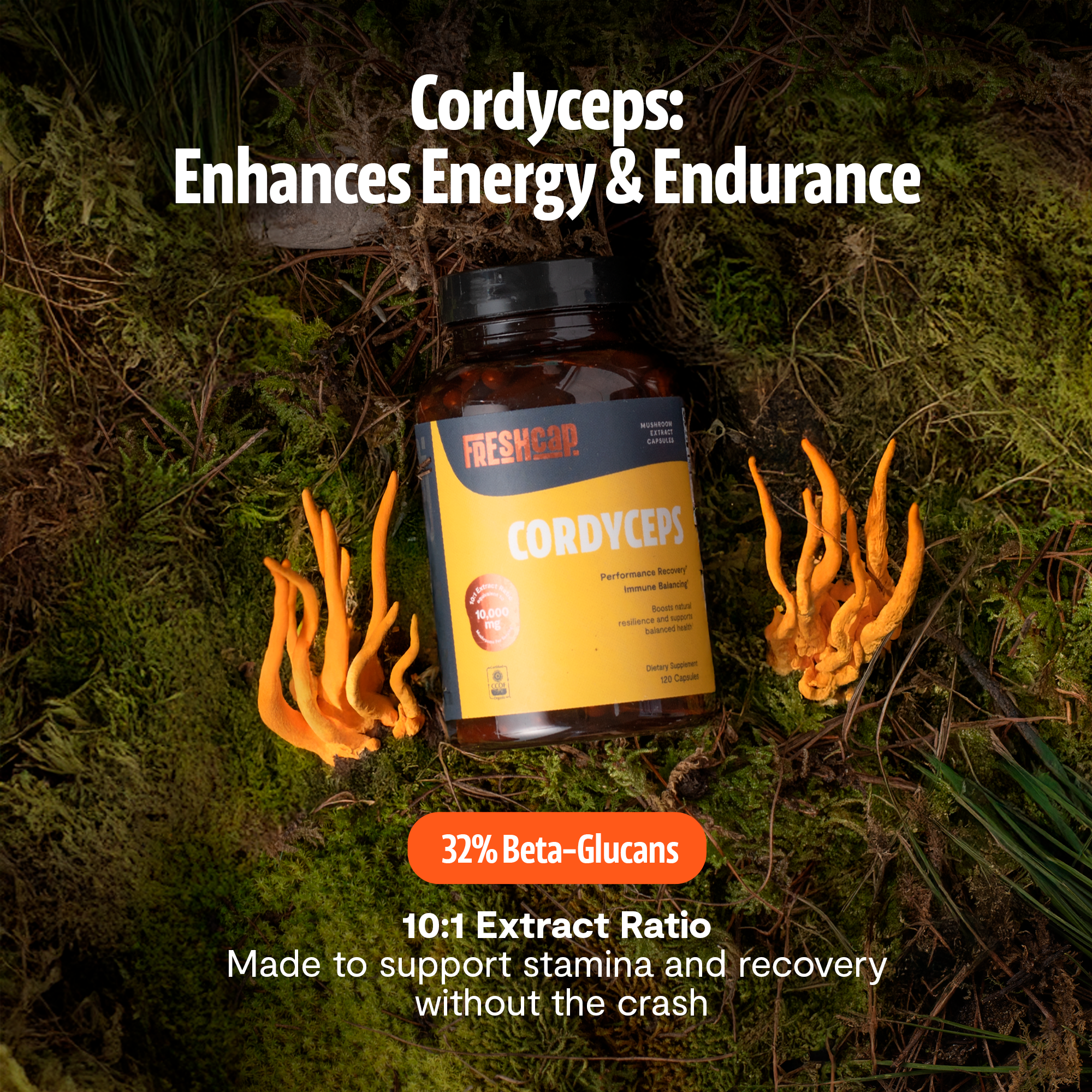 Organic Cordyceps Mushroom Supplement Capsules