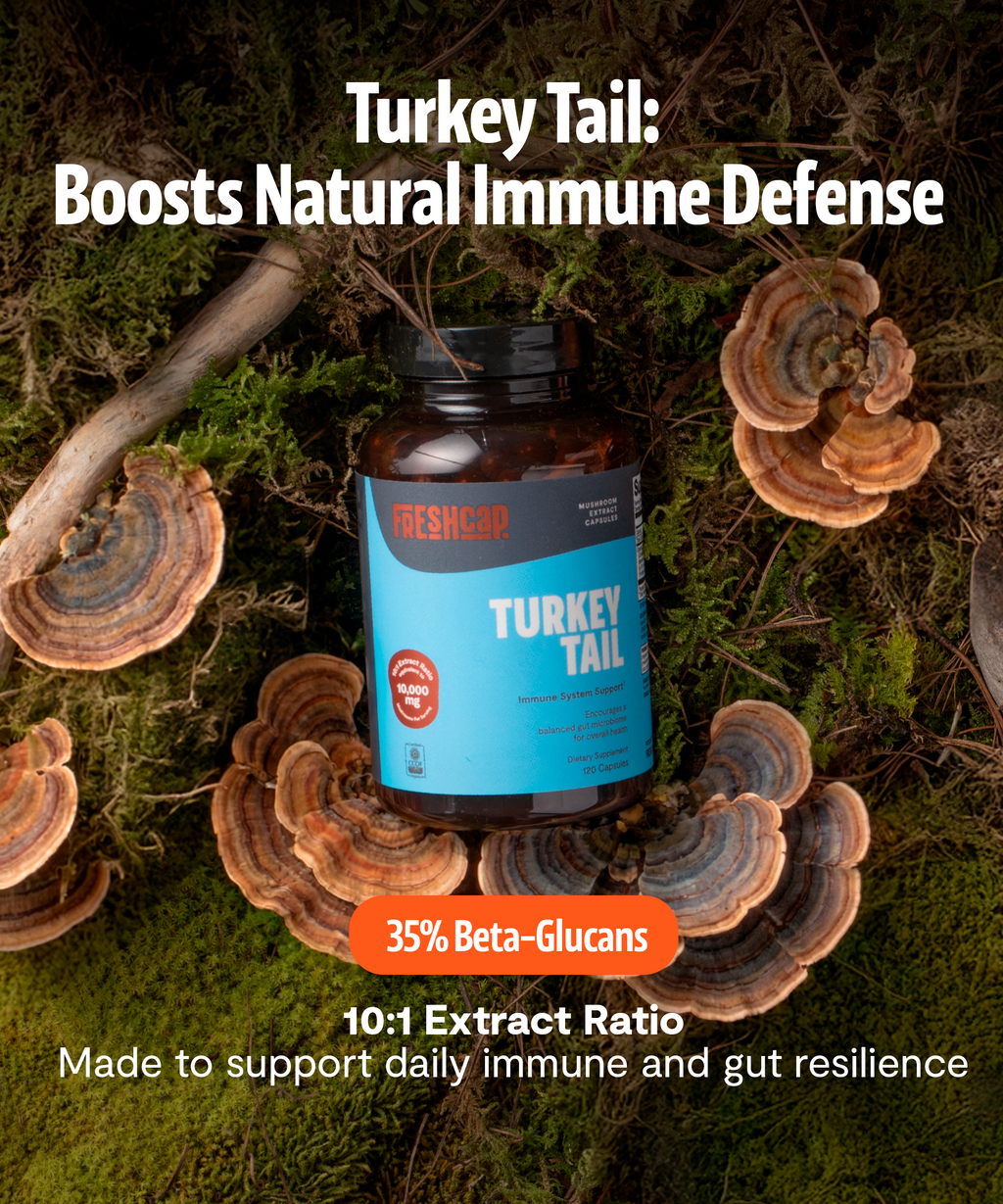 Organic Turkey Tail Mushroom Capsules