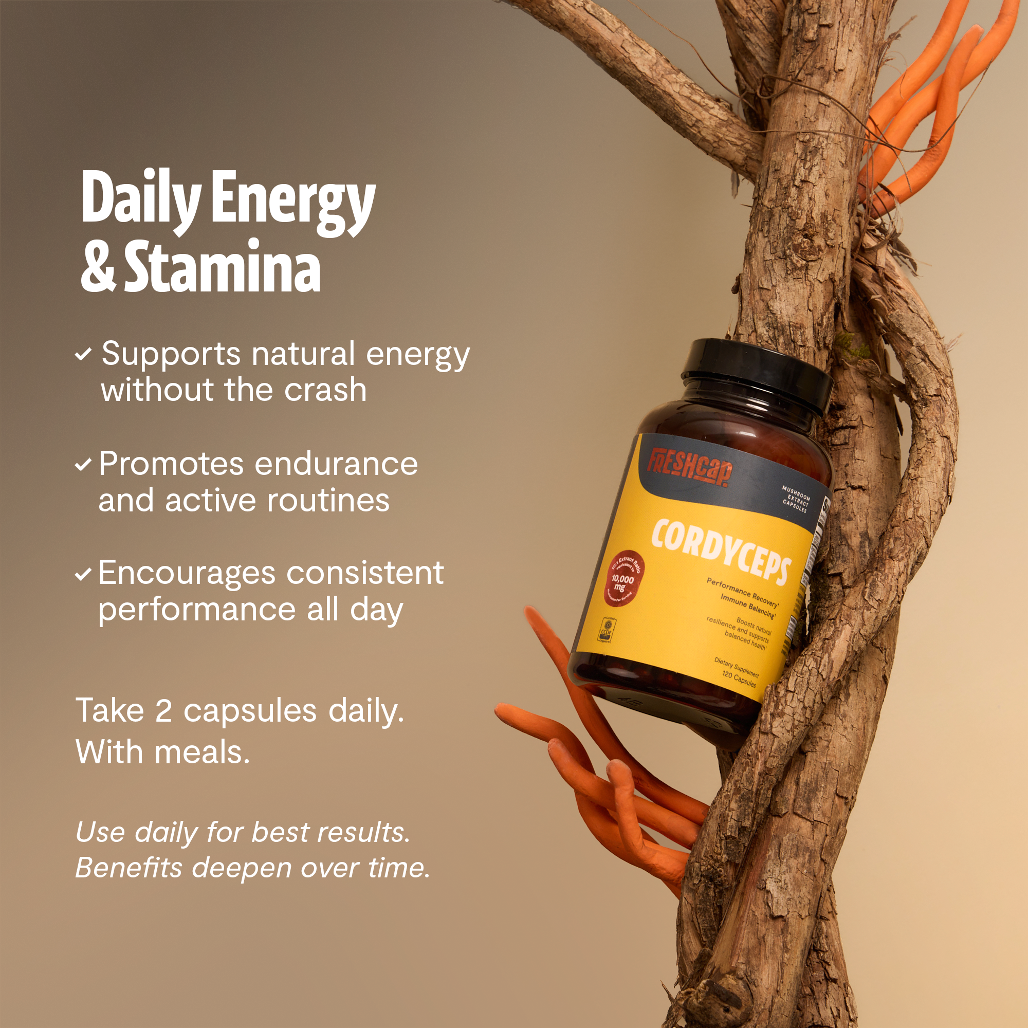 Cápsulas de Suplemento de Hongo Cordyceps Orgánico