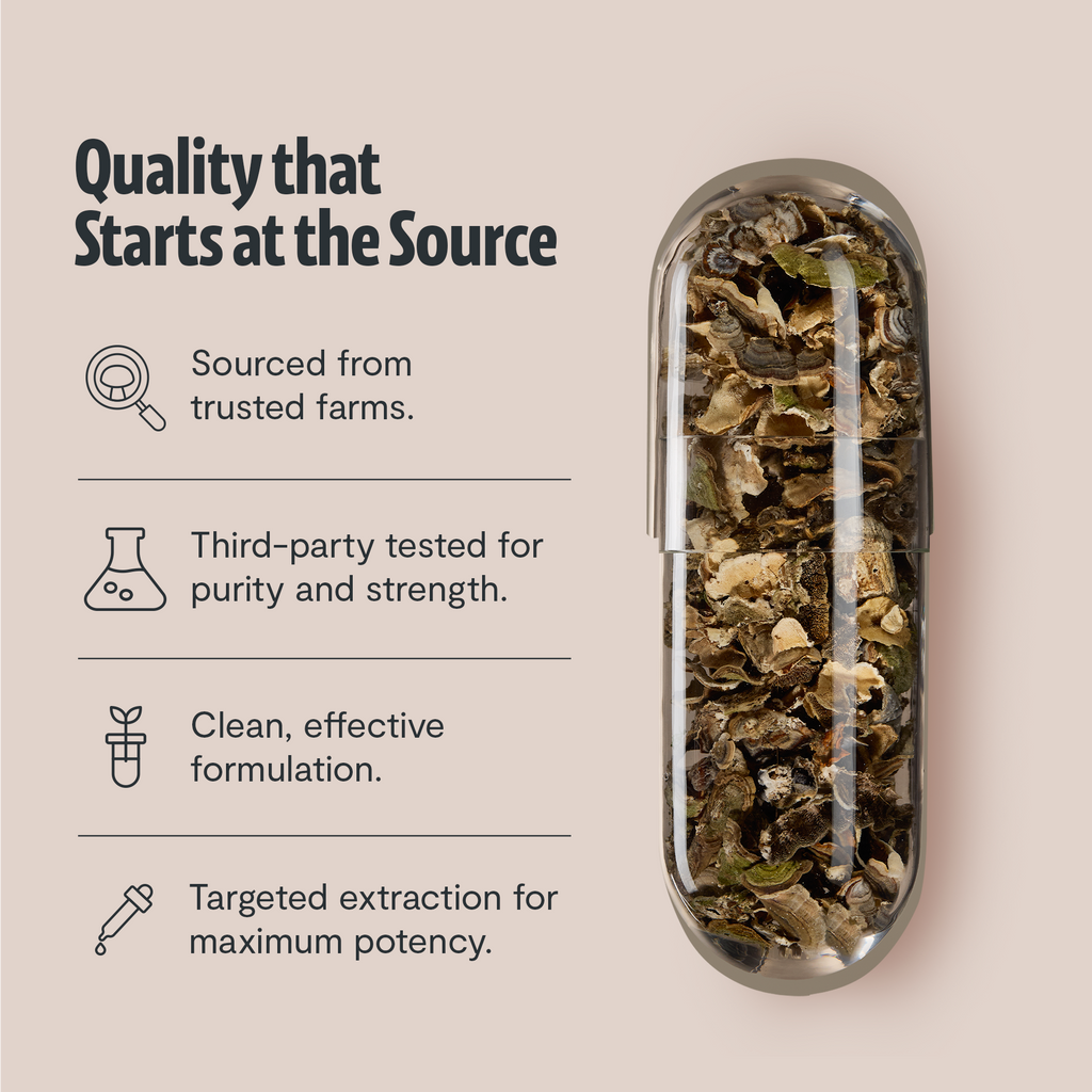 Organic Turkey Tail Mushroom Capsules
