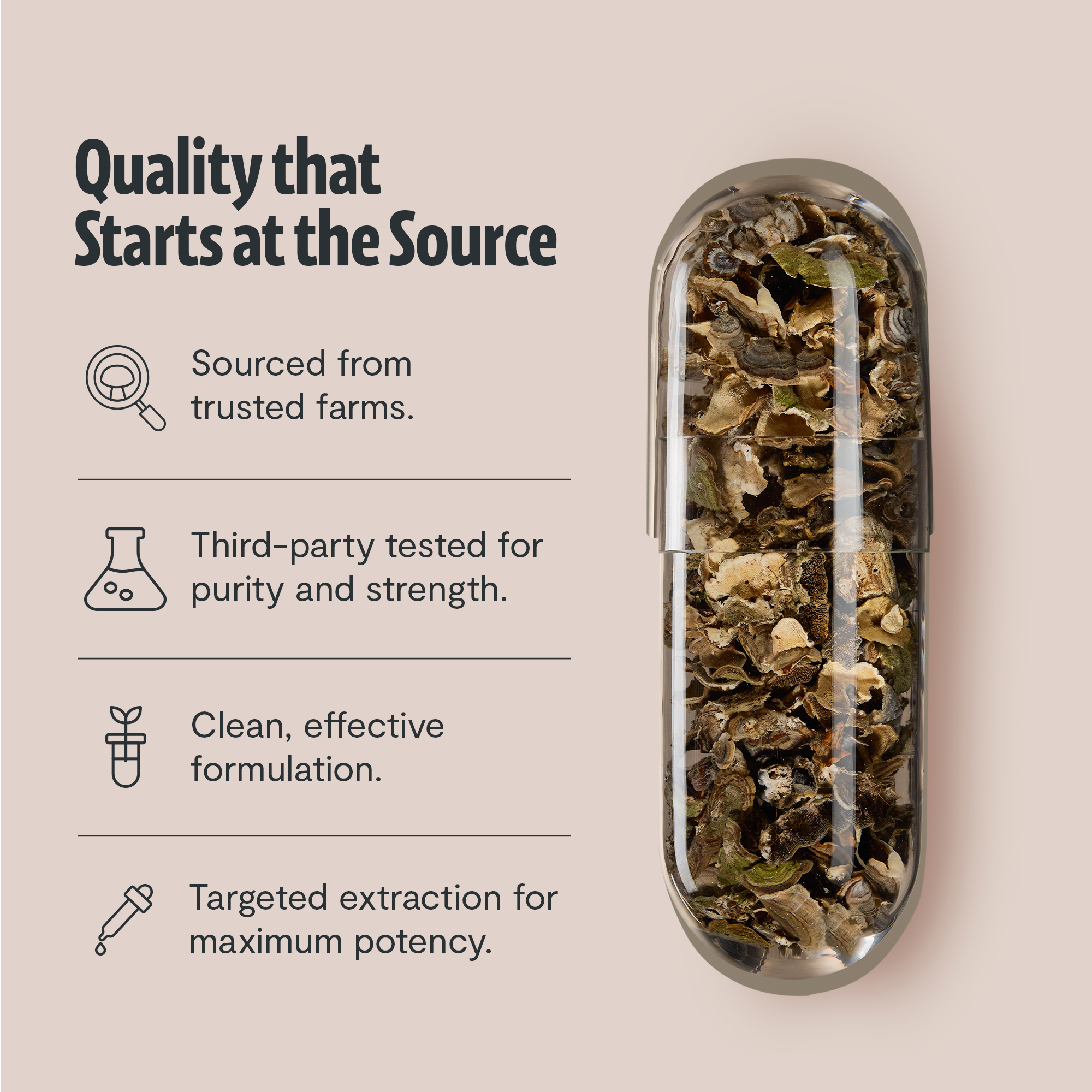 Organic Turkey Tail Mushroom Capsules
