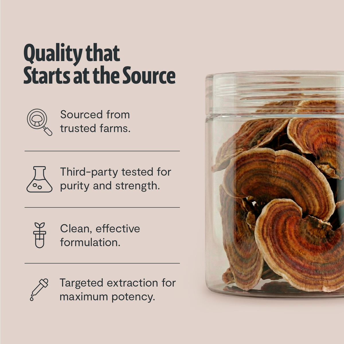 FreshCap Mushrooms Scentsium