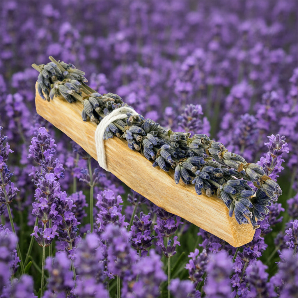 Smudgestick Bouquet of dried lavender tied with twine in a Palo Santo wooden holder on a light background Sun's Eye Scentsium