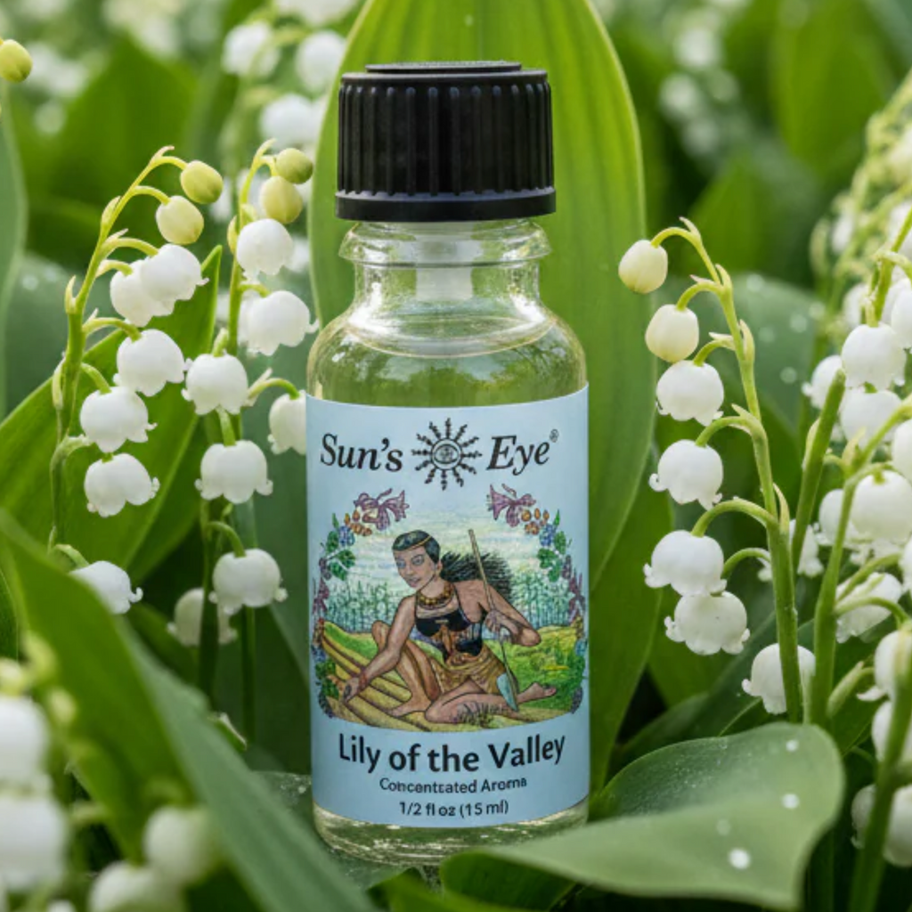 Bottle of 'Sun's Eye' Lily of the Valley essential oil surrounded by white flowers.