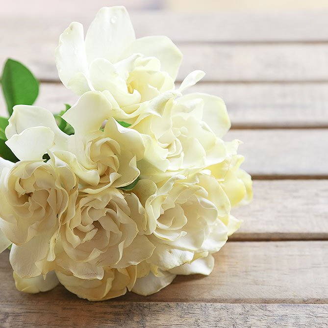 Bouquet of white flowers on a wooden surface