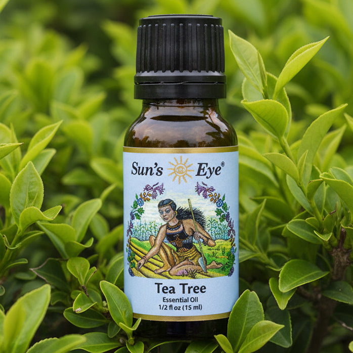 Sun's Eye Clove Essential Oil bottle on a light gray background