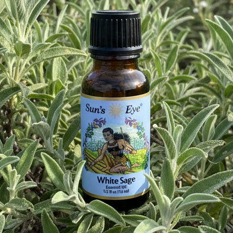 White Sage Essential In Carrier Oil