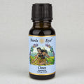 Clove Essential Oil