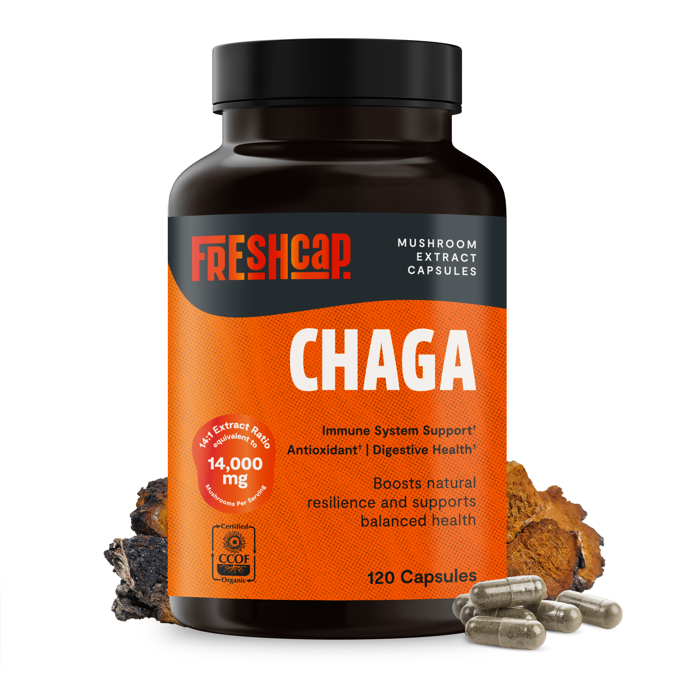 Cápsulas de extracto de hongo Chaga