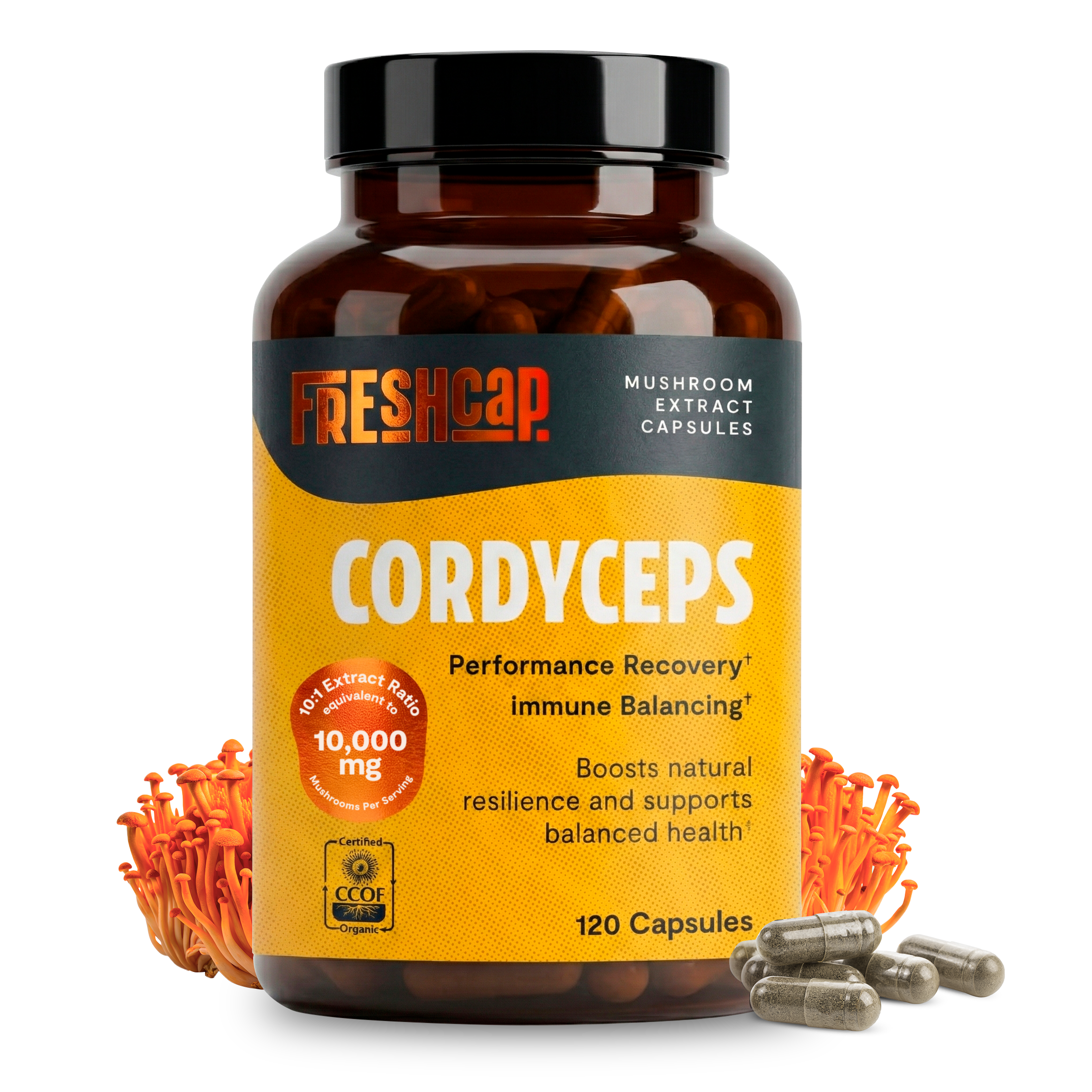 Cápsulas de Suplemento de Hongo Cordyceps Orgánico