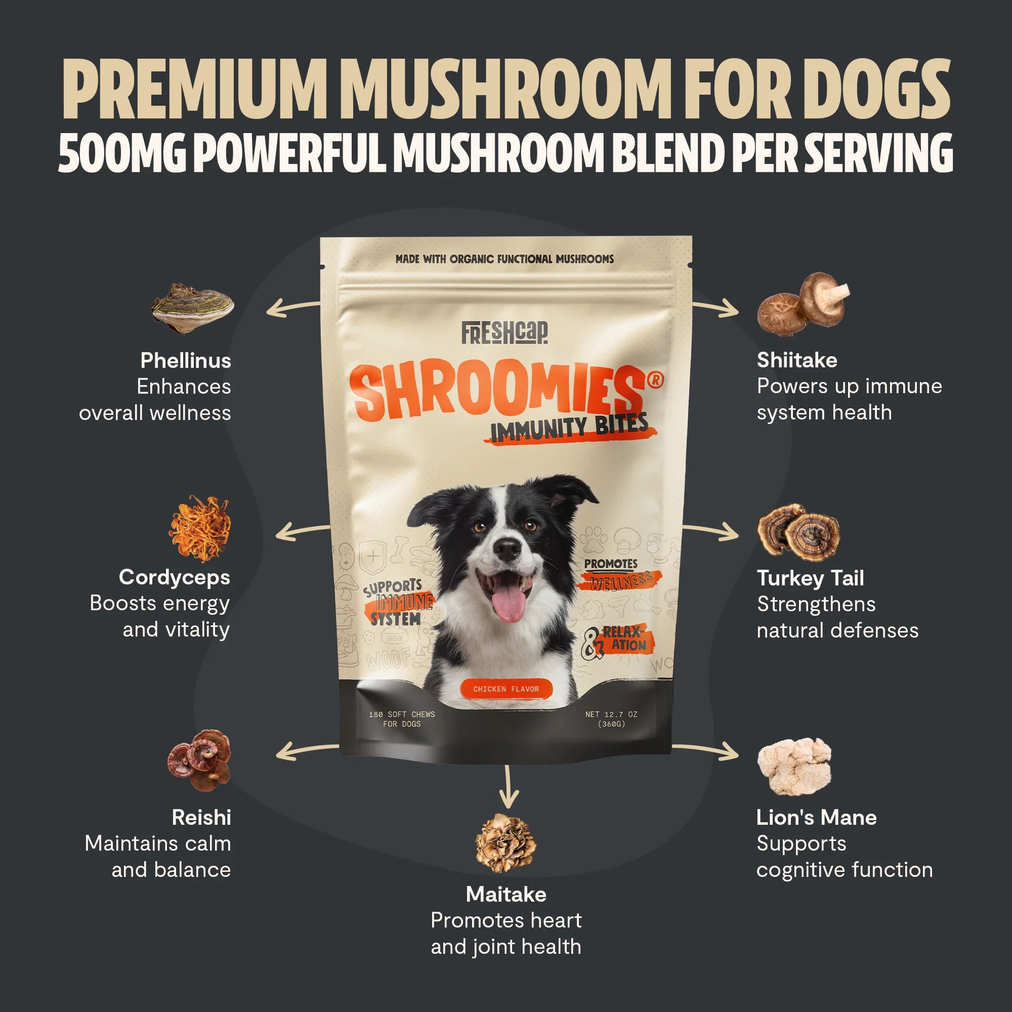 Shroomies for Dogs Organic Mushroom Complex
