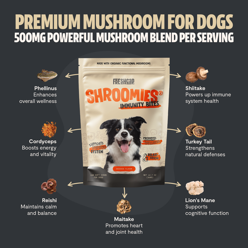 Shroomies for Dogs Organic Mushroom Complex