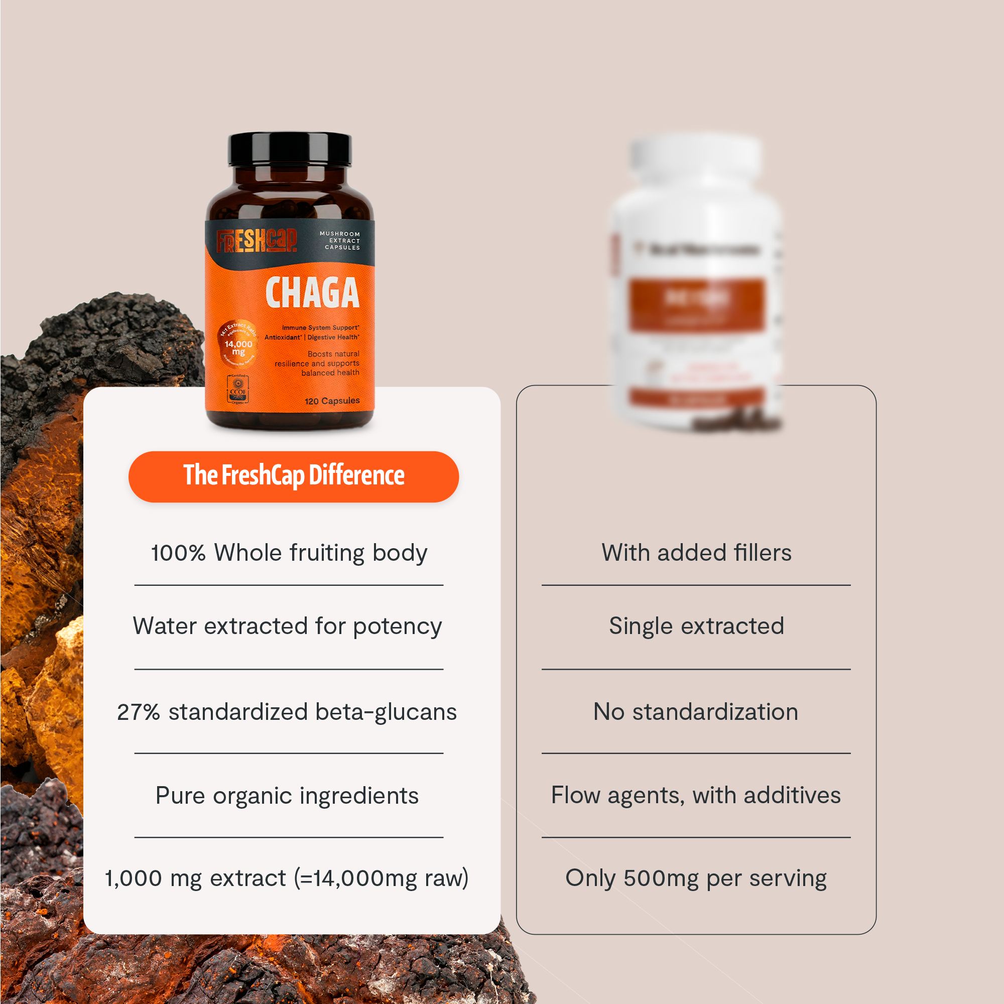 Chaga Mushroom Extract Capsules