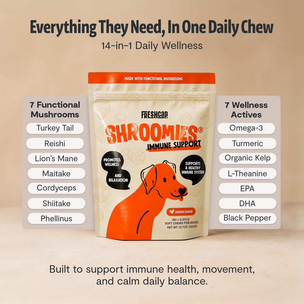 Shroomies for Dogs Organic Mushroom Complex