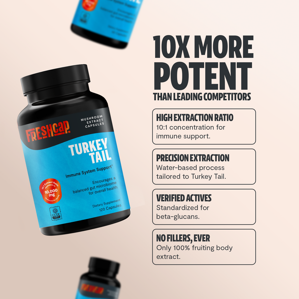 Organic Turkey Tail Mushroom Capsules