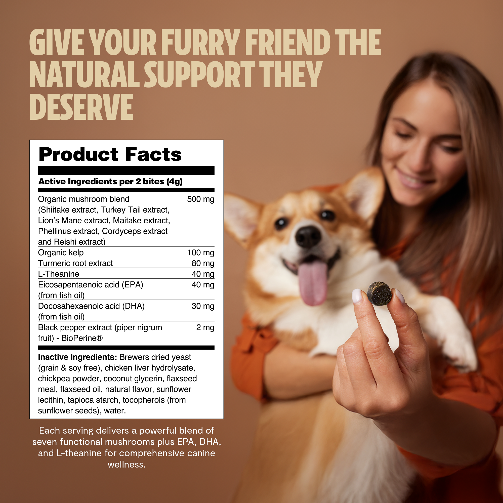 Shroomies for Dogs Organic Mushroom Complex