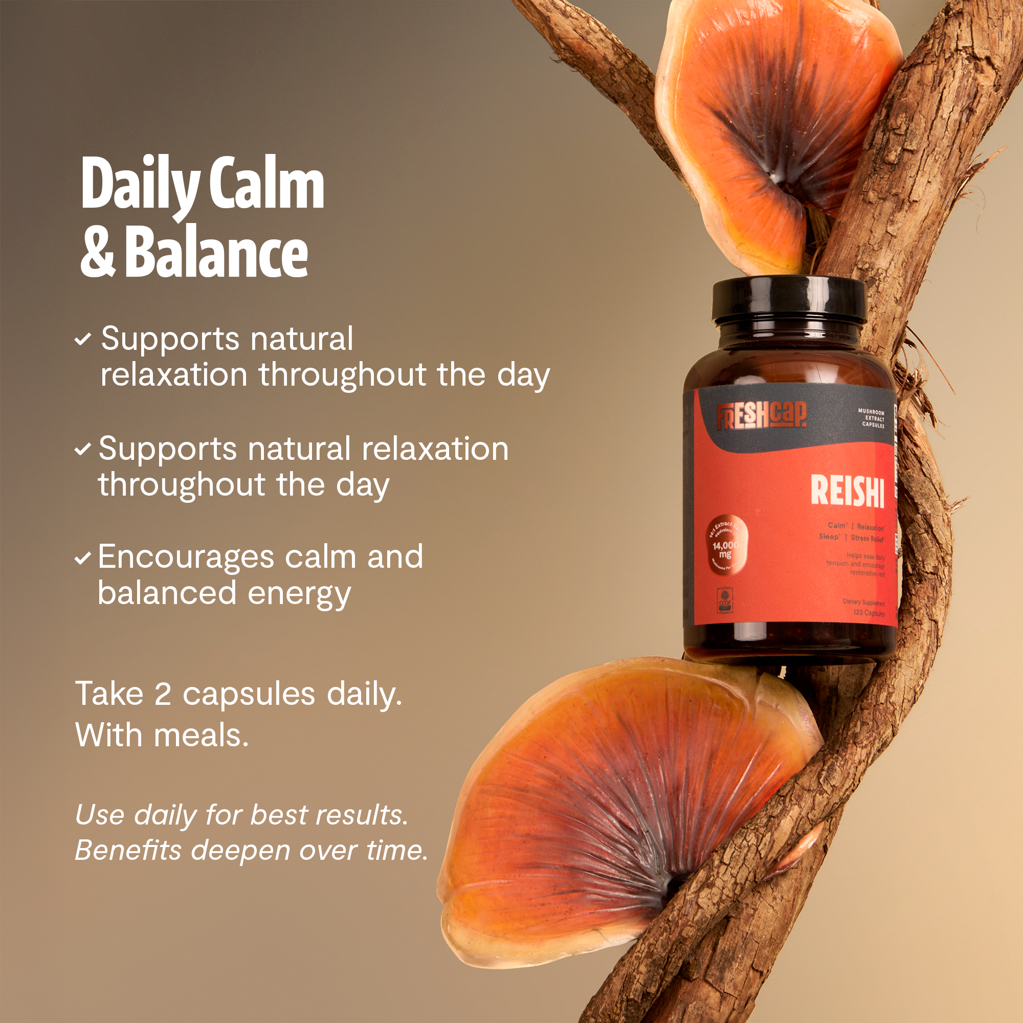 Cápsulas de hongo Reishi orgánico