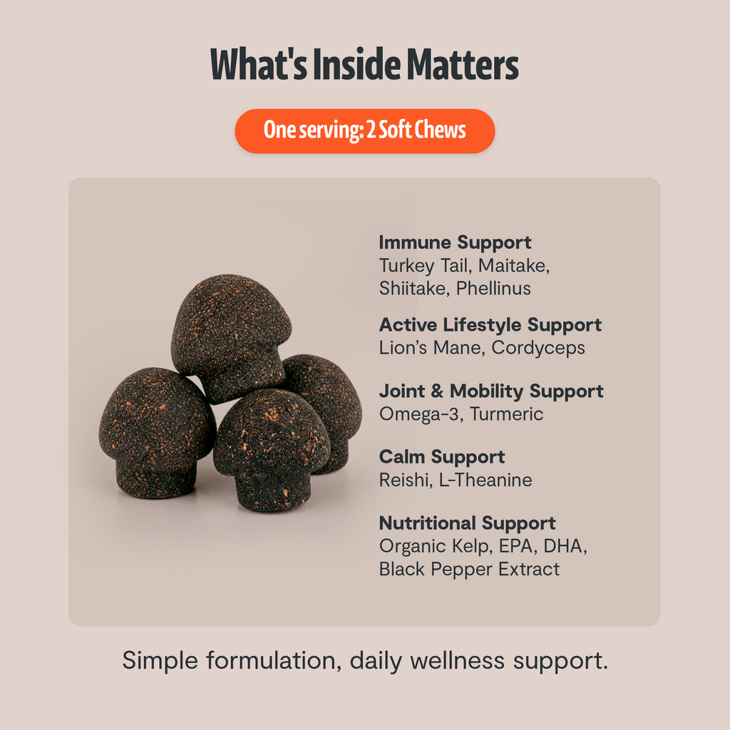 Shroomies for Dogs Organic Mushroom Complex