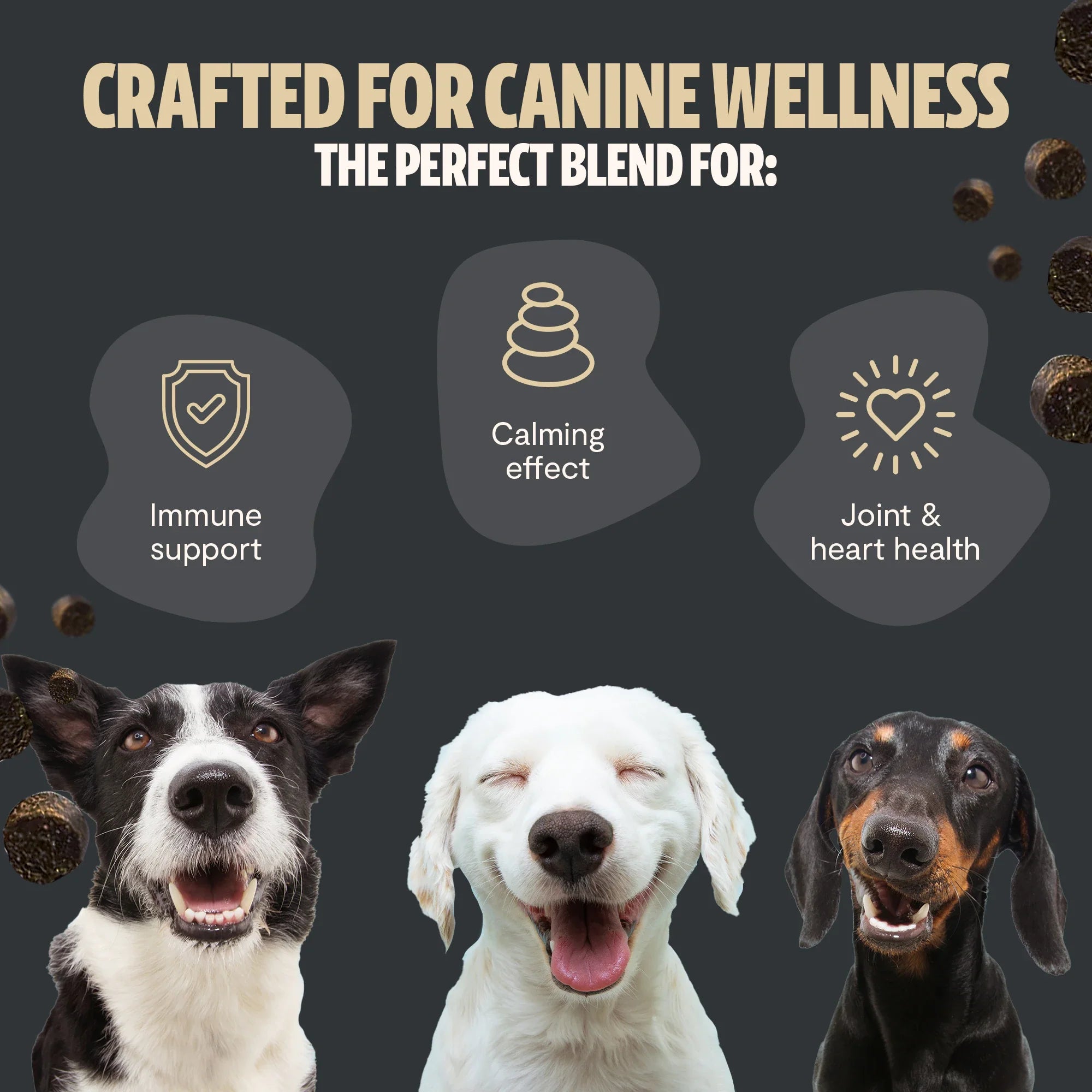 Shroomies for Dogs Organic Mushroom Complex