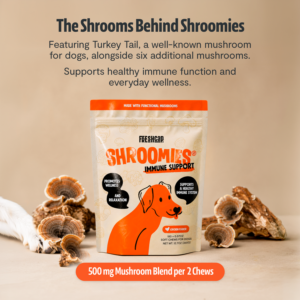 Shroomies for Dogs Organic Mushroom Complex