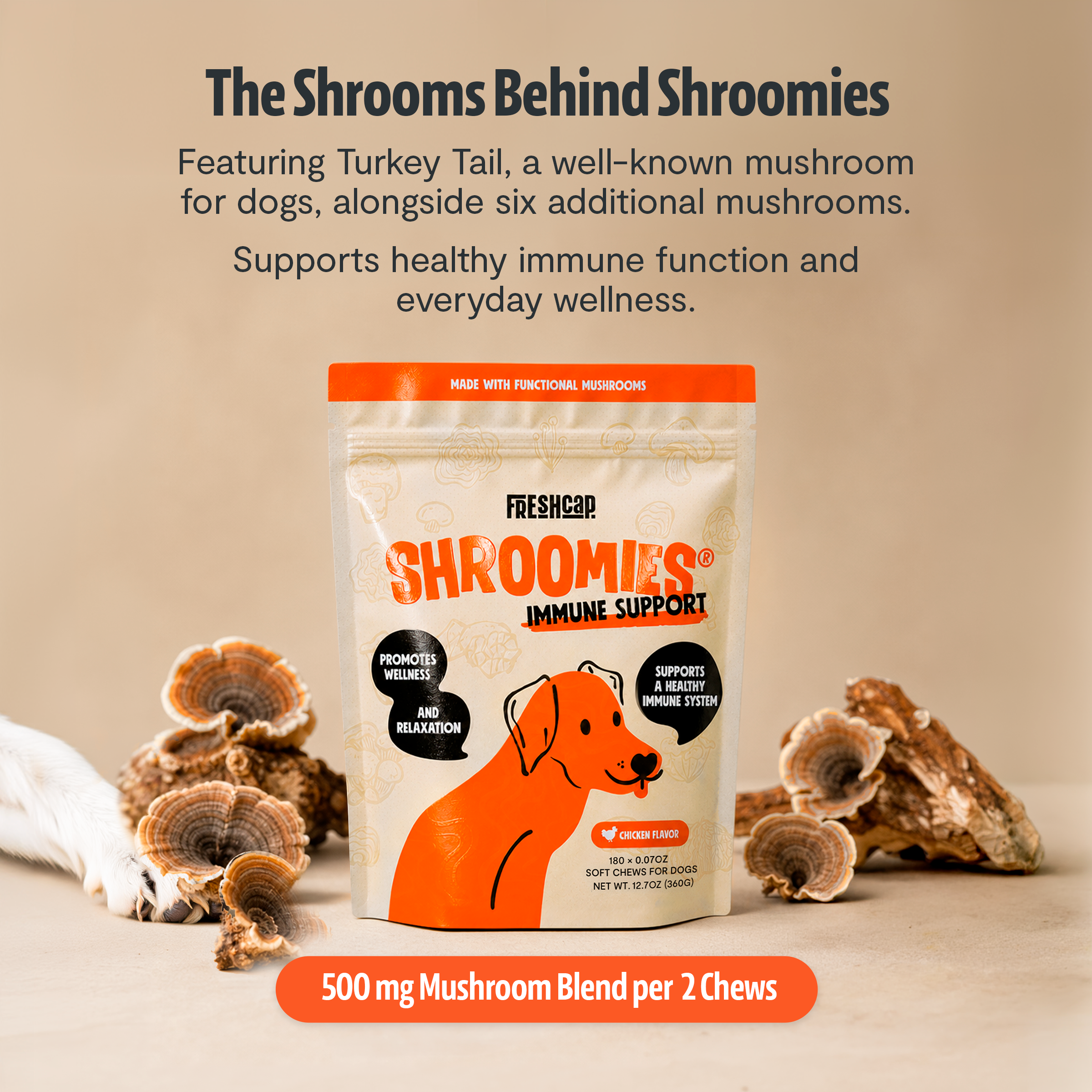 Complejo de Hongos Orgánicos para Perros