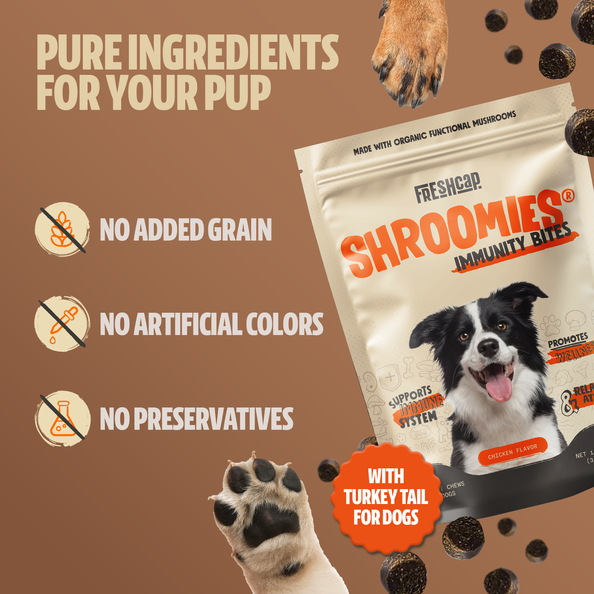 Shroomies for Dogs Organic Mushroom Complex