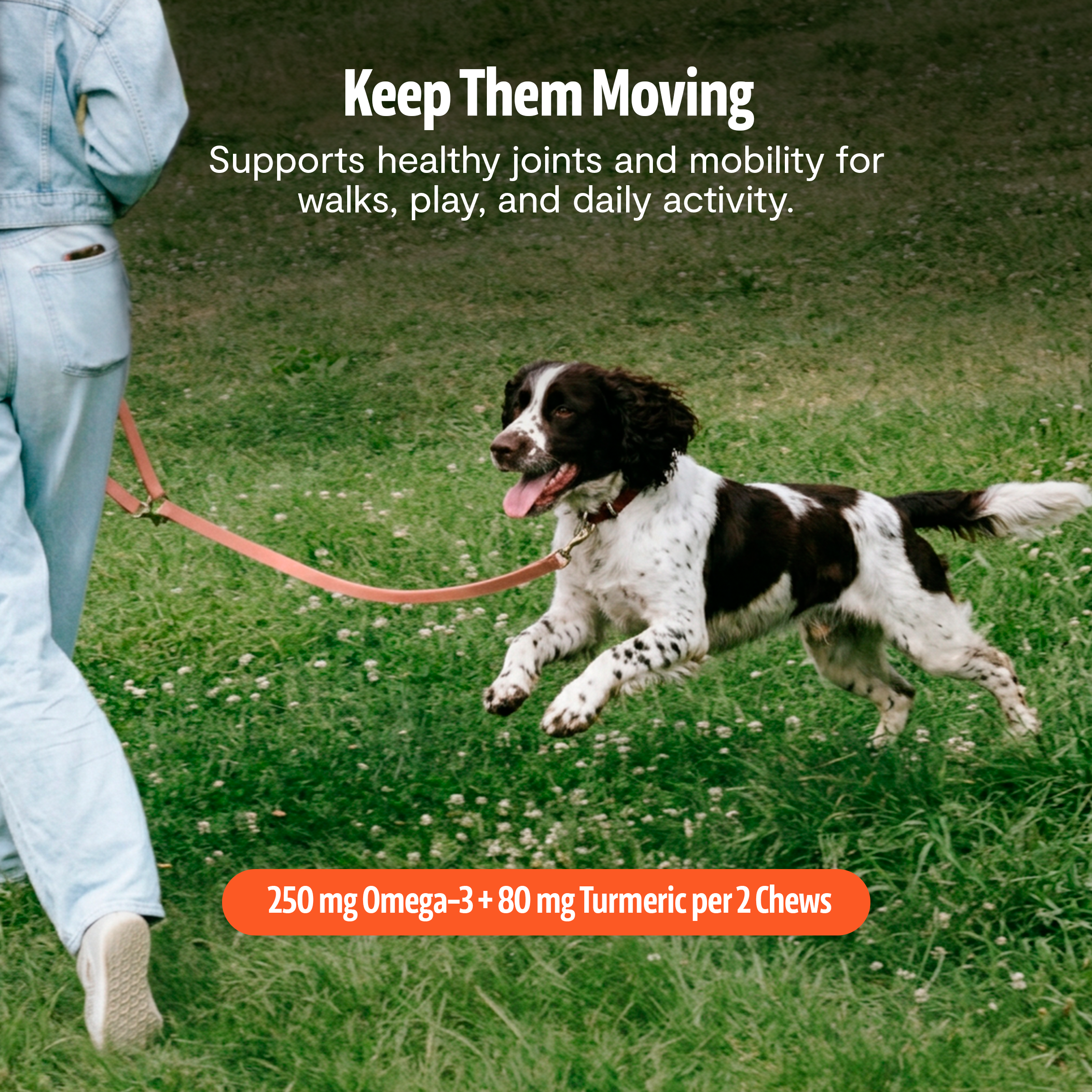 Shroomies for Dogs Organic Mushroom Complex