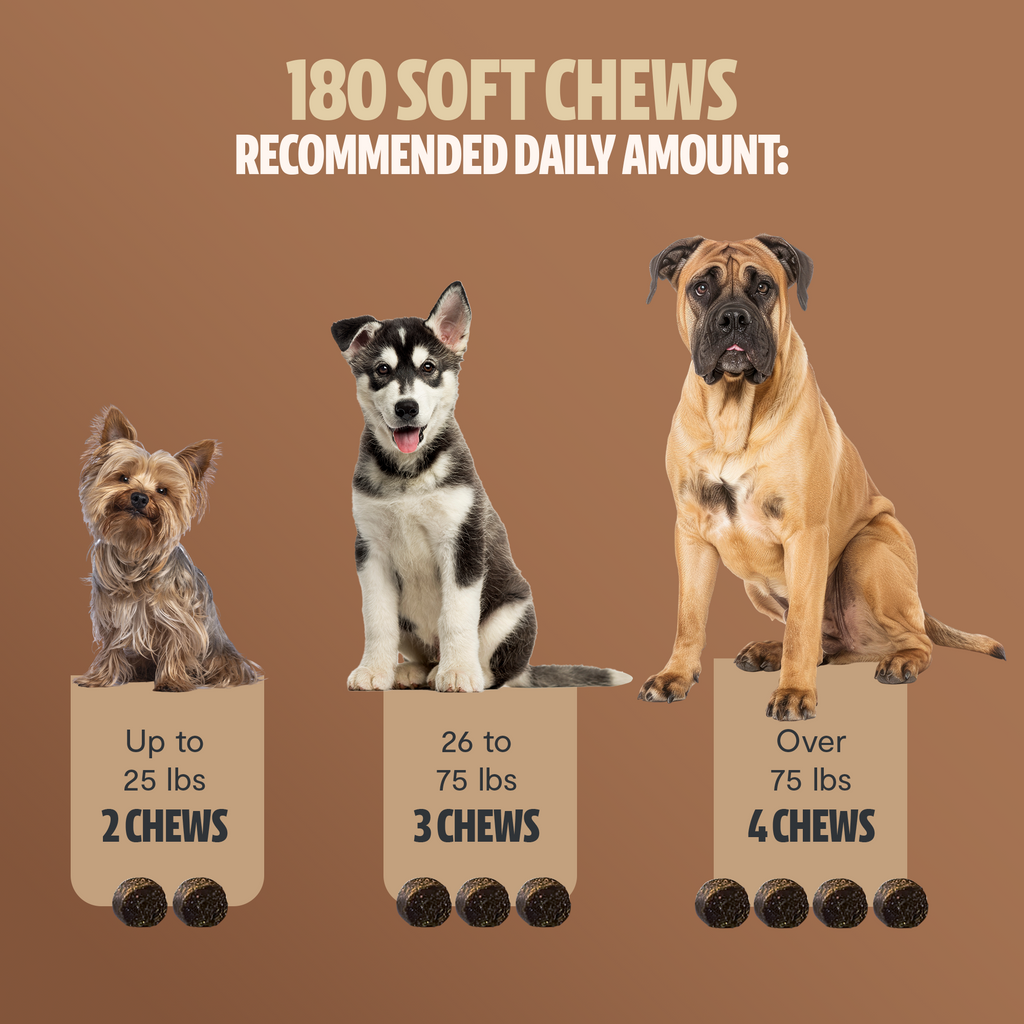 Shroomies for Dogs Organic Mushroom Complex