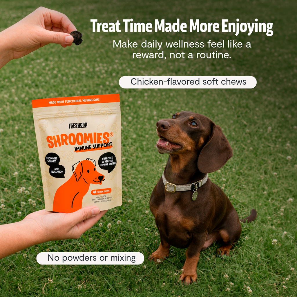 Shroomies for Dogs Organic Mushroom Complex