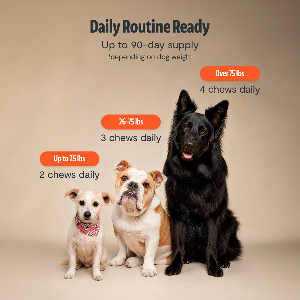 Shroomies for Dogs Organic Mushroom Complex