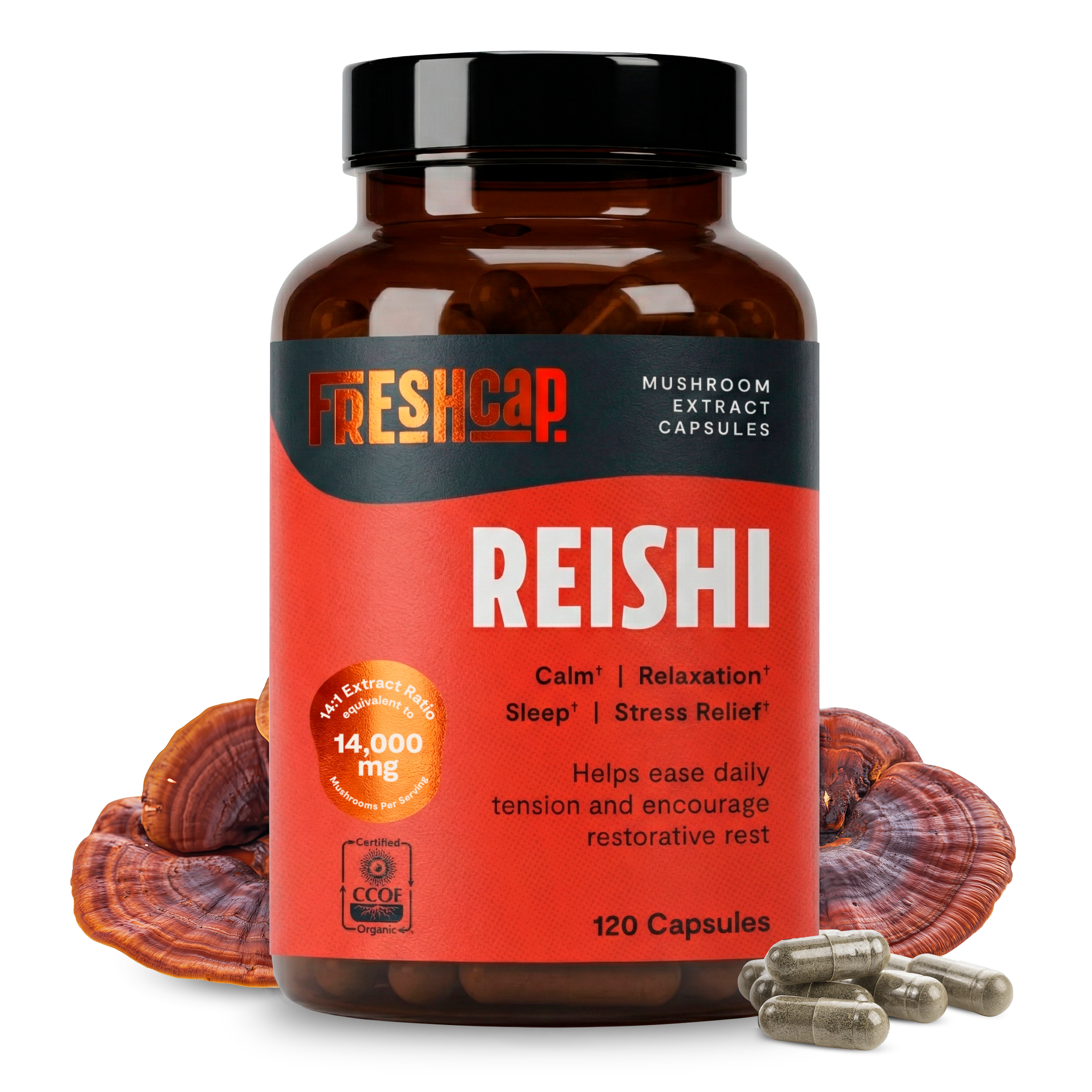 Cápsulas de hongo Reishi orgánico