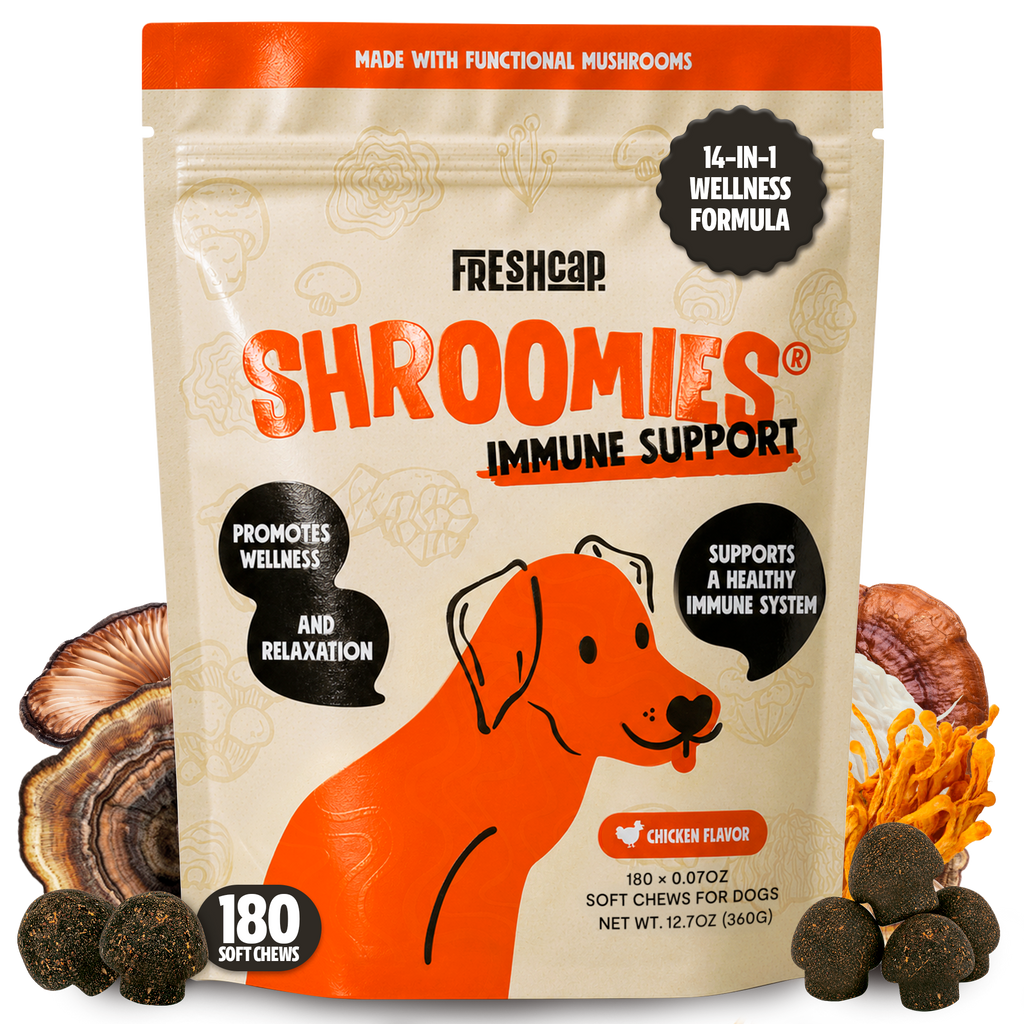 Shroomies for Dogs Organic Mushroom Complex