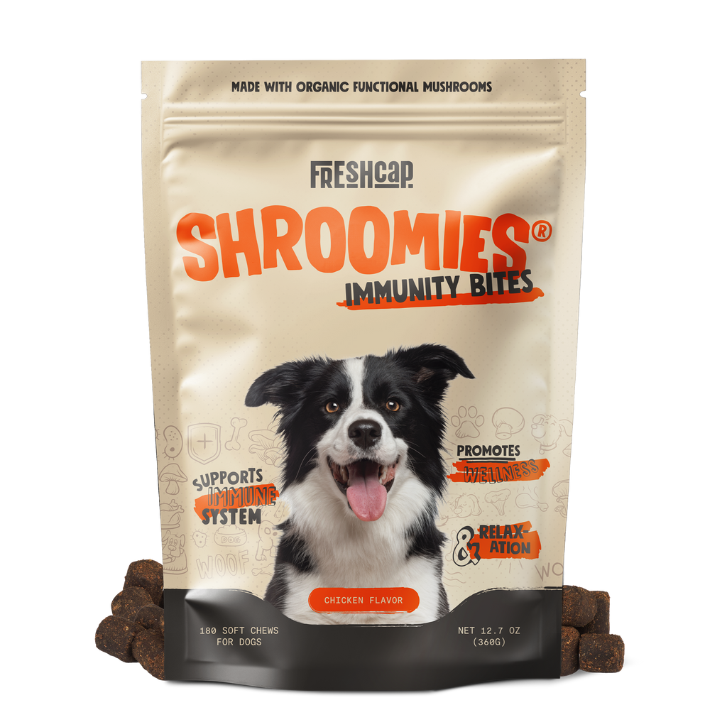 Shroomies for Dogs Organic Mushroom Complex