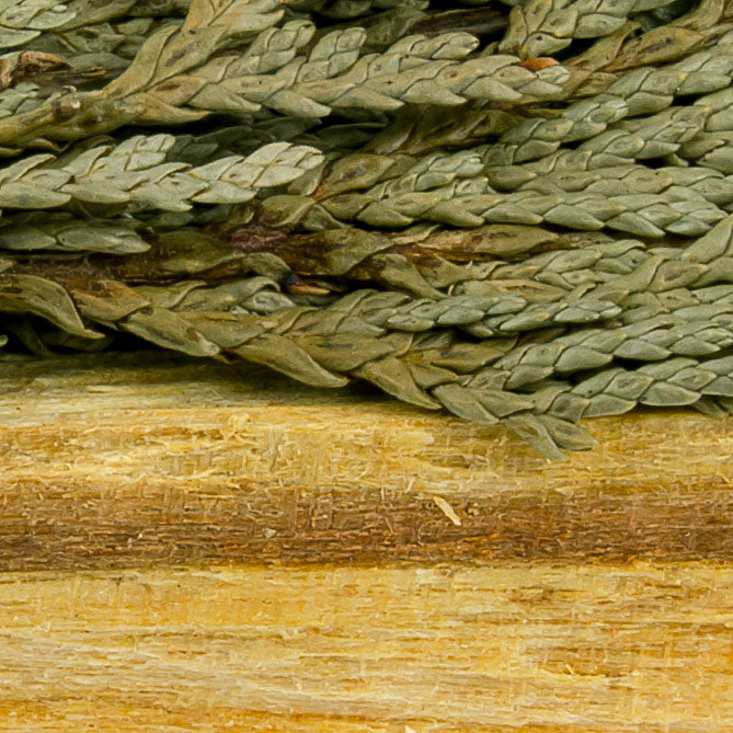 Cedar Smudge Stick Gift Set