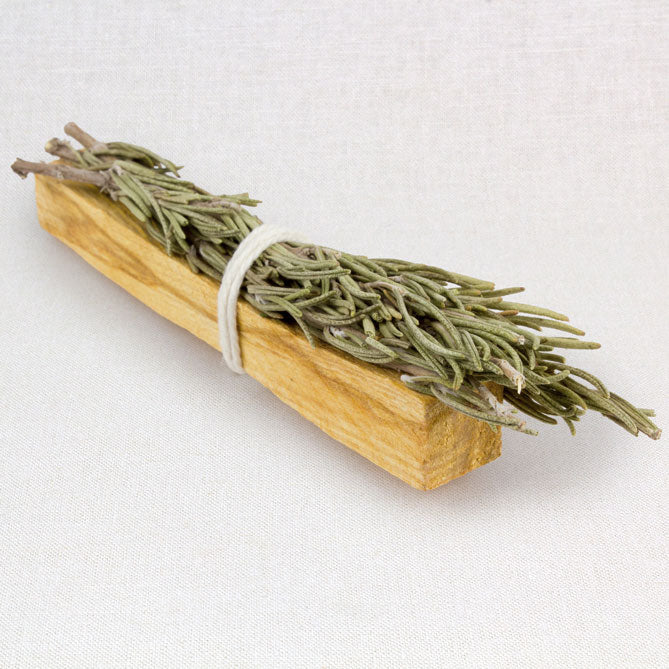 Bundled rosemary and Palo Santo wood with a white background