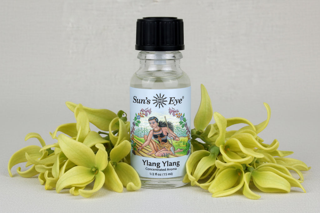 Bottle of Sun's Eye Ylang Ylang concentrated aroma on a light gray background