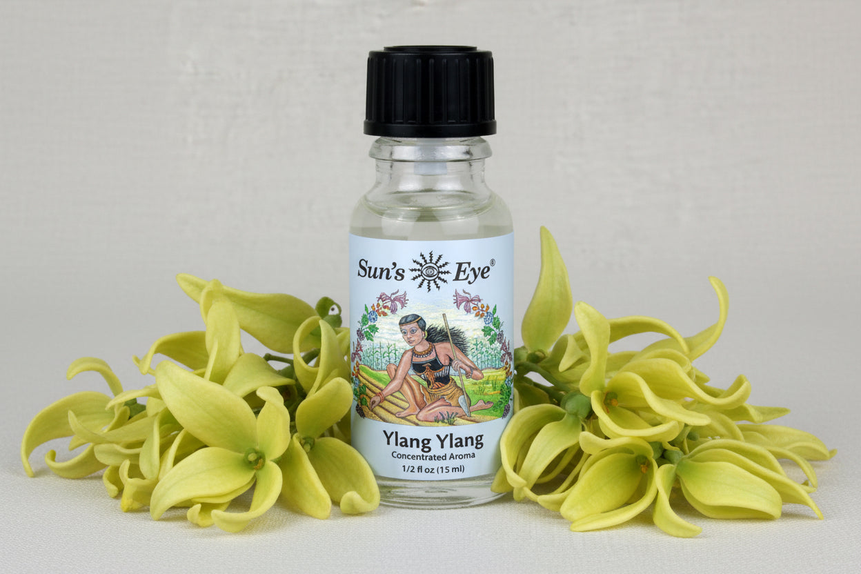 Bottle of Sun's Eye Ylang Ylang concentrated aroma on a light gray background